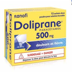 Doliprane 500 mg poudre en sachets 12 sachets