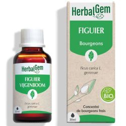 Herbalgem Bourgeon de figuier Bio 30 ml
