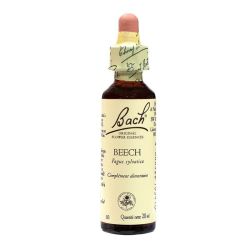 Beech n° 03 20ml