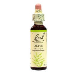 Olive n° 23 20ml