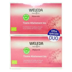 Tisane allaitement duo fruits rouges 2x20 sachets