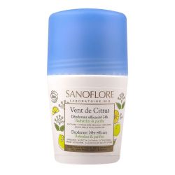 Déo bille vent de citrus 50ml