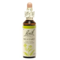 Fleurs de Bach Original Mustard 20ml