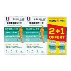 Granions Chondrostéo + articulations 3 x 90 comprimés