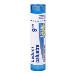 Ledum Palustre tube granules 9CH