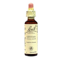 Gentian n° 12 20ml