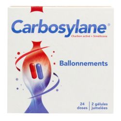 Carbosylane Ballonements gélules 24 doses