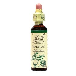 Walnut n° 33 20ml