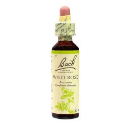 Wild rose n° 37 20ml