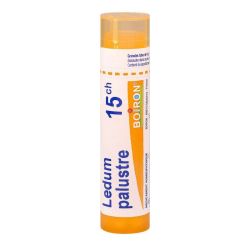 Ledum Palustre tube granules 15CH