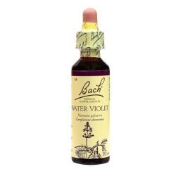 Water violet n° 34 20ml