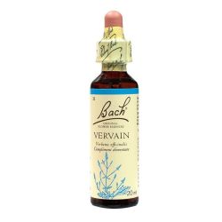 Vervain n° 31 20ml