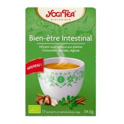 Bien-être intestinal tisane Ayurvédique 17 sachets