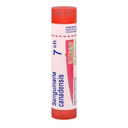 Sanguinaria canadensis tube granules 7CH