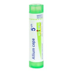 Allium cepa tube granules 5CH