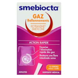 Smebiocta gaz ballonnements vanille 12 sticks