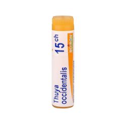 Thuya Occidentalis dose 15CH