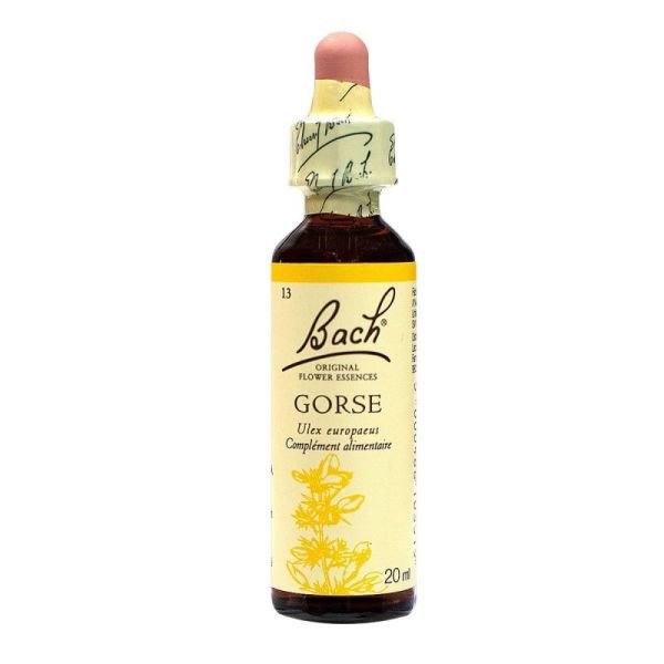 Gorse n° 13 20ml