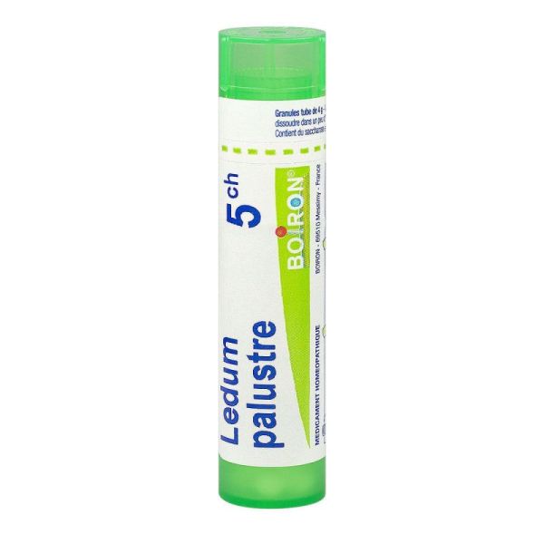 Ledum Palustre tube granules 5CH