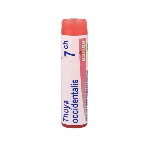 Thuya Occidentalis dose 7CH