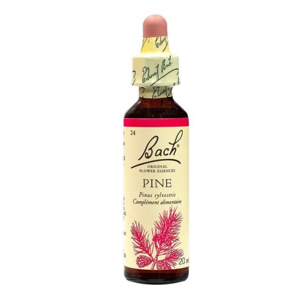 Pine n° 24 20ml